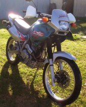 1999 Honda NX 650 Dominator photo